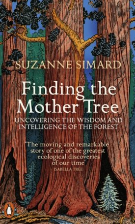 Finding the Mother Tree : Uncovering the Wisdom and Intelligence of the Forest