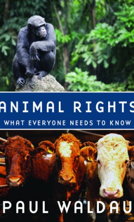 Animal Rights - What Everyone Needs to Know