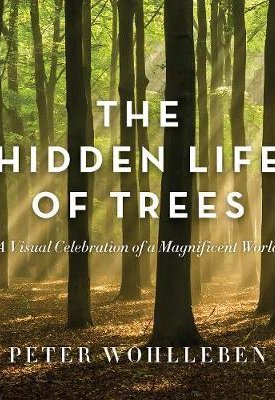 The Hidden Life of Trees - The Illustrated Edition