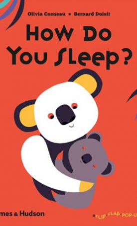 How Do You Sleep? (Flip Flap Pop-up)