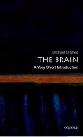 The Brain - A Very Short Introduction