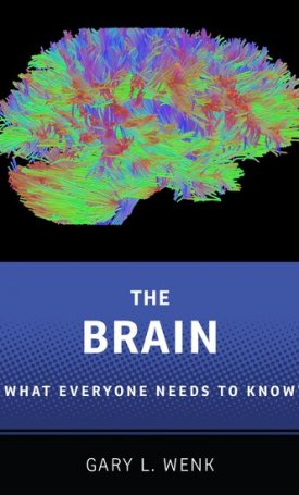 The Brain -  What Everyone Needs To Know