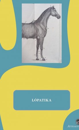  Lópatika