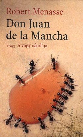 Don Juan de la Mancha, avagy A vágy iskolája