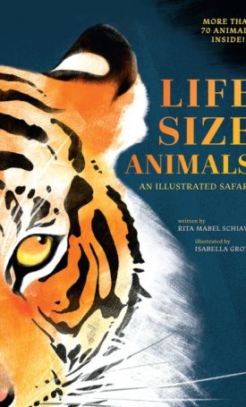 Life-size animals - an illustrated safari
