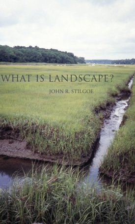 What Is Landscape?
